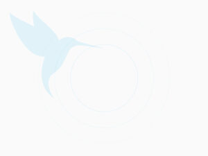 colibri default attachment